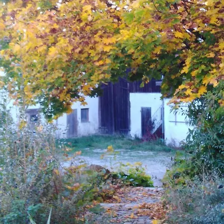 Bergmann Apartment *